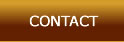 Contact Lionel LAVY